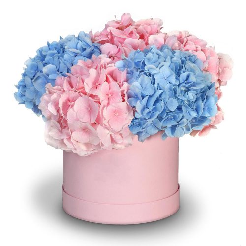 Цветы в шляпной коробке «Нежный бриз»