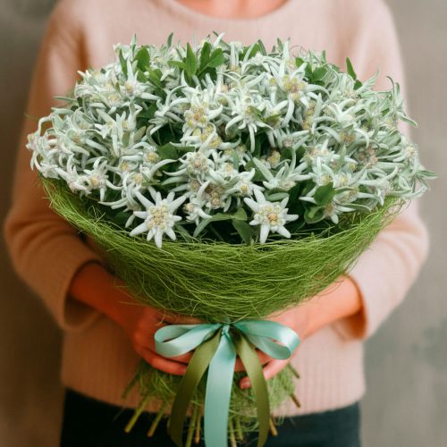 Монобукет «Эдельвейс»